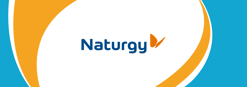 Naturgy Gestões