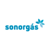 logo sonorgas